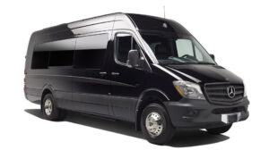 Long Island executive sprinter van service with private chauffeur providing 14 passenger luxury group transportation