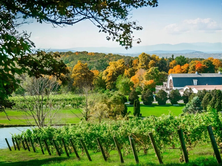 Winery estate and vineyard in Long Island and Hudson Valley during a private chauffeur wine tasting tour
