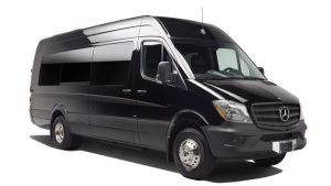 Long Island 18-passenger party bus limo van with private chauffeur for luxury group events and celebrations
