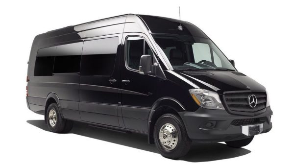 Long Island 18-passenger party bus limo van with private chauffeur for luxury group events and celebrations
